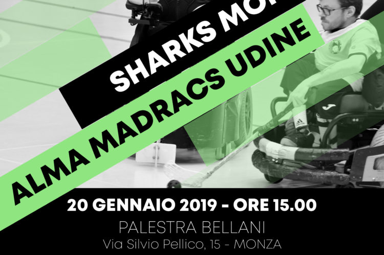 Madracs Udine - Sharks Monza